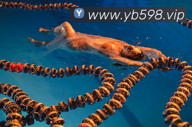 yabo亚博全站App